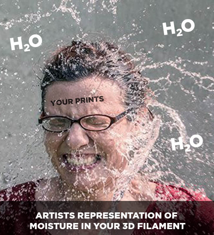 Moisture meme